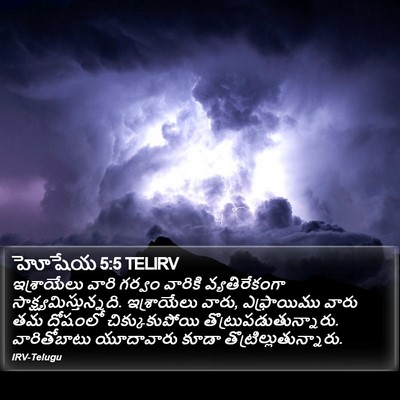 హోషేయ 5:5 TELIRV Bible Verse Image
