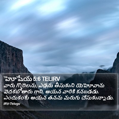 హోషేయ 5:6 TELIRV Bible Verse Image