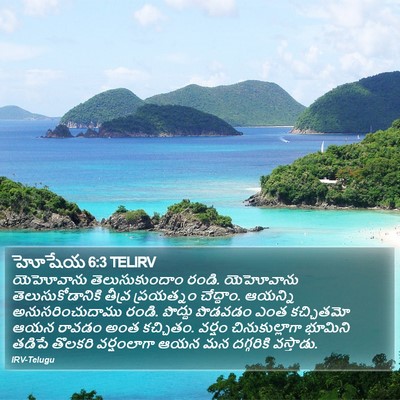 హోషేయ 6:3 TELIRV Bible Verse Image