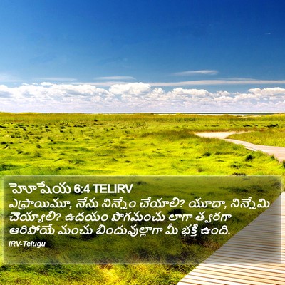 హోషేయ 6:4 TELIRV Bible Verse Image