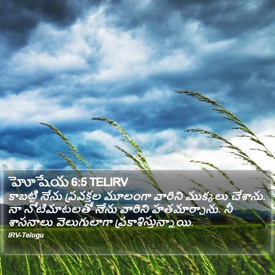 హోషేయ 6:5 TELIRV Bible Verse Image