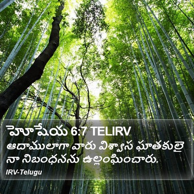 హోషేయ 6:7 TELIRV Bible Verse Image