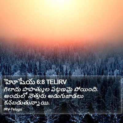 హోషేయ 6:8 TELIRV Bible Verse Image