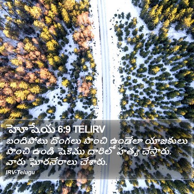 హోషేయ 6:9 TELIRV Bible Verse Image