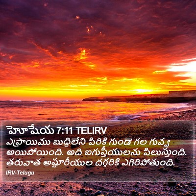 హోషేయ 7:11 TELIRV Bible Verse Image