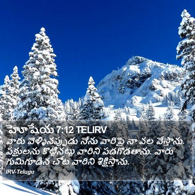 హోషేయ 7:12 TELIRV Bible Verse Image