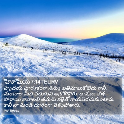 హోషేయ 7:14 TELIRV Bible Verse Image