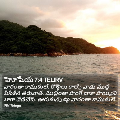 హోషేయ 7:4 TELIRV Bible Verse Image