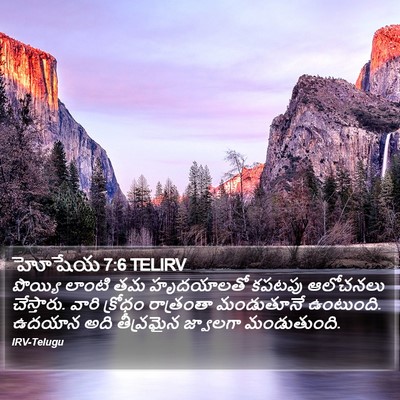 హోషేయ 7:6 TELIRV Bible Verse Image