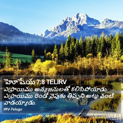 హోషేయ 7:8 TELIRV Bible Verse Image