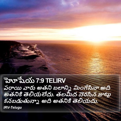 హోషేయ 7:9 TELIRV Bible Verse Image