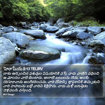 హోషేయ 8:13 TELIRV Bible Verse Image