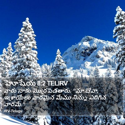 హోషేయ 8:2 TELIRV Bible Verse Image