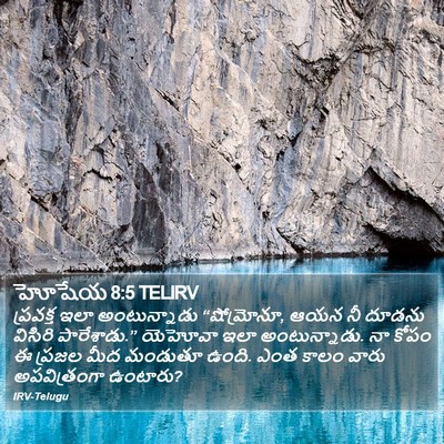 హోషేయ 8:5 TELIRV Bible Verse Image