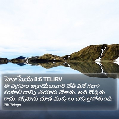 హోషేయ 8:6 TELIRV Bible Verse Image