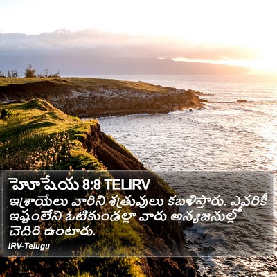 హోషేయ 8:8 TELIRV Bible Verse Image
