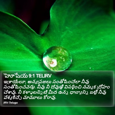 హోషేయ 9:1 TELIRV Bible Verse Image