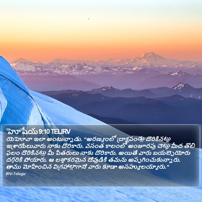 హోషేయ 9:10 TELIRV Bible Verse Image
