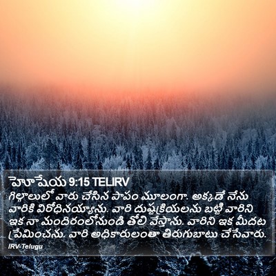 హోషేయ 9:15 TELIRV Bible Verse Image