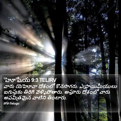 హోషేయ 9:3 TELIRV Bible Verse Image