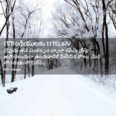 Picture 02 - 1 కొరింథీయులకు 1:1 TELIRV - దేవుడు తన సంకల్పం - Bible Verse Picture