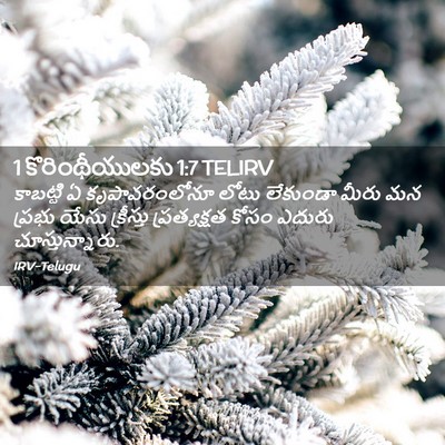 Picture 02 - 1 కొరింథీయులకు 1:7 TELIRV - కాబట్టి ఏ - Bible Verse Picture
