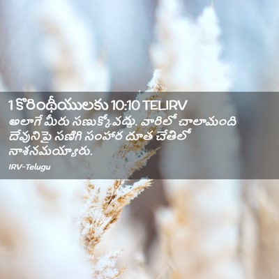 Picture 02 - 1 కొరింథీయులకు 10:10 TELIRV - అలాగే మీరు - Bible Verse Picture
