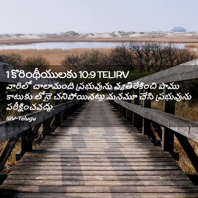 Picture 02 - 1 కొరింథీయులకు 10:9 TELIRV - వారిలో చాలామంది - Bible Verse Picture