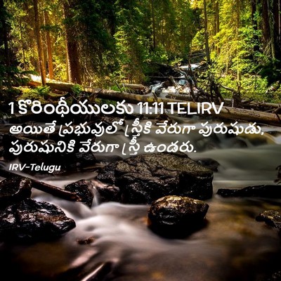 Picture 02 - 1 కొరింథీయులకు 11:11 TELIRV - అయితే ప్రభువులో - Bible Verse Picture
