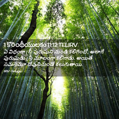 Picture 02 - 1 కొరింథీయులకు 11:12 TELIRV - ఏ విధంగా స్త్రీ - Bible Verse Picture