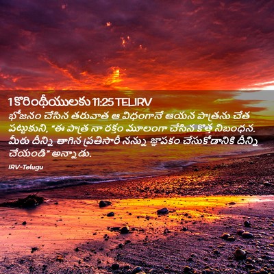 Picture 02 - 1 కొరింథీయులకు 11:25 TELIRV - భోజనం చేసిన - Bible Verse Picture