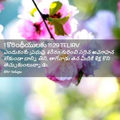Picture 02 - 1 కొరింథీయులకు 11:29 TELIRV - ఎందుకంటే ప్రభువు - Bible Verse Picture