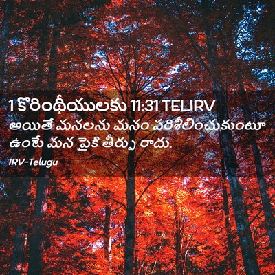 Picture 02 - 1 కొరింథీయులకు 11:31 TELIRV - అయితే మనలను మనం - Bible Verse Picture