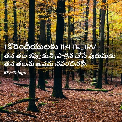 Picture 02 - 1 కొరింథీయులకు 11:4 TELIRV - తన తల కప్పుకుని - Bible Verse Picture