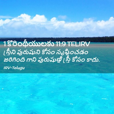 Picture 02 - 1 కొరింథీయులకు 11:9 TELIRV - స్త్రీని పురుషుని - Bible Verse Picture