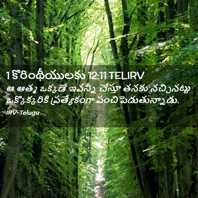 Picture 02 - 1 కొరింథీయులకు 12:11 TELIRV - ఆ ఆత్మ ఒక్కడే - Bible Verse Picture