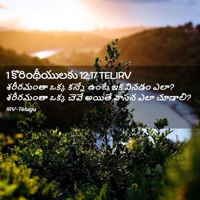 Picture 02 - 1 కొరింథీయులకు 12:17 TELIRV - శరీరమంతా ఒక్క - Bible Verse Picture