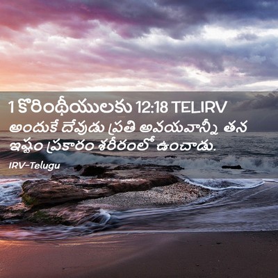 Picture 02 - 1 కొరింథీయులకు 12:18 TELIRV - అందుకే దేవుడు - Bible Verse Picture