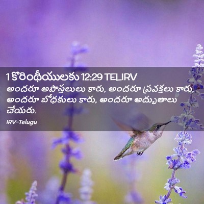 Picture 02 - 1 కొరింథీయులకు 12:29 TELIRV - అందరూ అపొస్తలులు - Bible Verse Picture