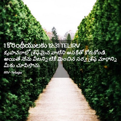 Picture 02 - 1 కొరింథీయులకు 12:31 TELIRV - కృపావరాల్లో - Bible Verse Picture