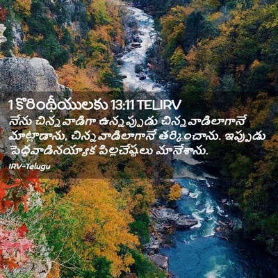 Picture 02 - 1 కొరింథీయులకు 13:11 TELIRV - నేను చిన్నవాడిగా - Bible Verse Picture