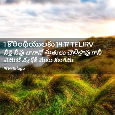 Picture 02 - 1 కొరింథీయులకు 14:17 TELIRV - నీకై నీవు బాగానే - Bible Verse Picture