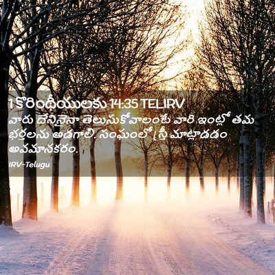 Picture 02 - 1 కొరింథీయులకు 14:35 TELIRV - వారు దేనినైనా - Bible Verse Picture