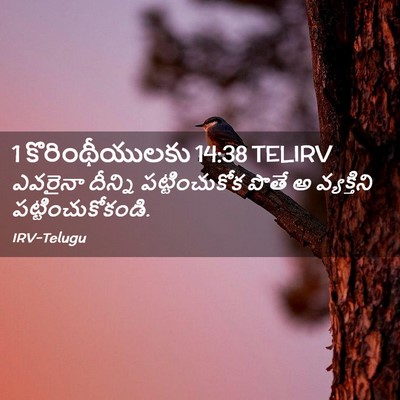 Picture 02 - 1 కొరింథీయులకు 14:38 TELIRV - ఎవరైనా దీన్ని - Bible Verse Picture
