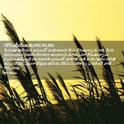 Picture 02 - 1 కొరింథీయులకు 14:5 TELIRV - మీరంతా తెలియని - Bible Verse Picture