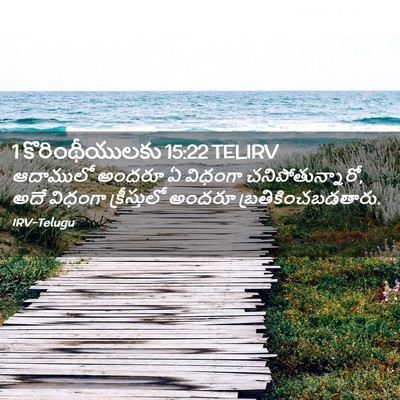 Picture 02 - 1 కొరింథీయులకు 15:22 TELIRV - ఆదాములో అందరూ ఏ - Bible Verse Picture