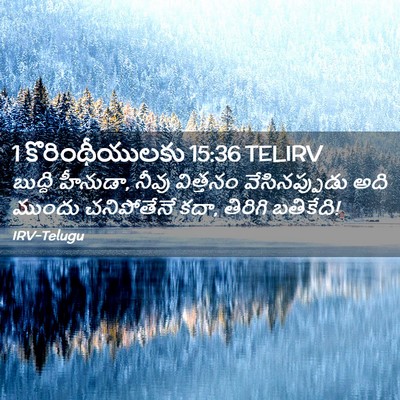 Picture 02 - 1 కొరింథీయులకు 15:36 TELIRV - బుద్ధి హీనుడా, - Bible Verse Picture