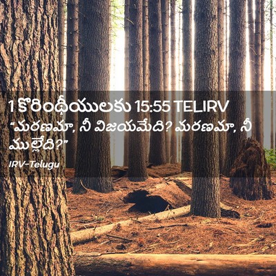 Picture 02 - 1 కొరింథీయులకు 15:55 TELIRV - “మరణమా, నీ - Bible Verse Picture