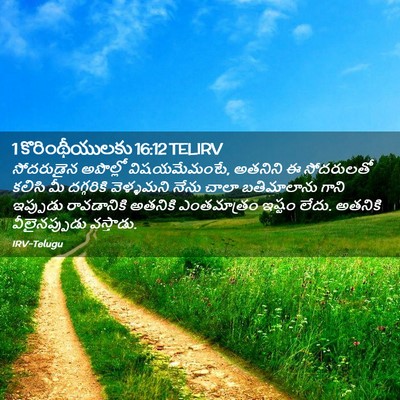Picture 02 - 1 కొరింథీయులకు 16:12 TELIRV - సోదరుడైన అపొల్లో - Bible Verse Picture
