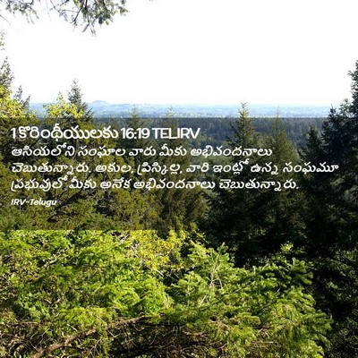 Picture 02 - 1 కొరింథీయులకు 16:19 TELIRV - ఆసియలోని సంఘాల - Bible Verse Picture
